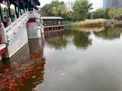 -西海子公园