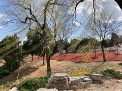 -北京西山国家森林公园