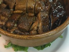 -鸽王世家(东华东路店)