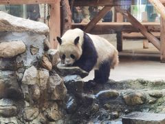 -西安秦岭野生动物园
