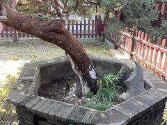 -水绘园