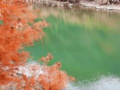 -小芝红树林
