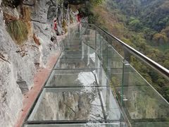 -千岛湖石林