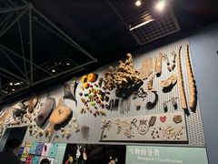 -浙江自然博物院(杭州馆)