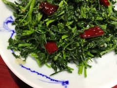 炝拌苜蓿菜-窄巷子陕菜馆·地道陕西菜(粉巷店)