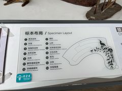 -陕西自然博物馆