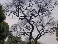 -东湖听涛景区