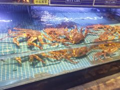 -驻海渔市(置信店)