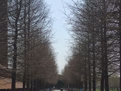 -祝甸砖窑文化馆