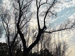 -柯岩风景区