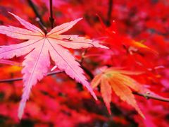 -崂山九水游览区