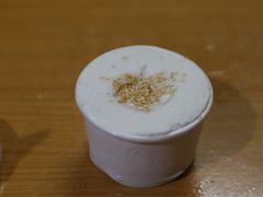 鲜椰子雪糕-歎雪糕低糖低脂Gelato冰淇淋