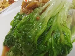 白灼有机罗马生菜-旺顺阁鱼头泡饼(小红门店)