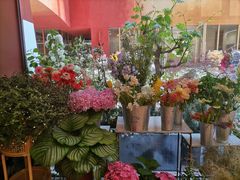 -二酉书店TOYOU BOOKS