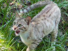 -普陀山慧济禅寺