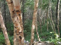-野三坡百草畔景区