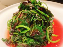 蒜蓉苋菜-徽镇小厨·经典徽菜(十里河店)