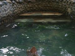 -三亚珠江南田温泉度假区