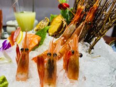 -渔日本料理铁板烧(新天地假日广场店)