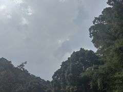 -青城山