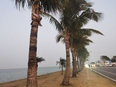 -东澳岛