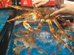 水产区-盒马鲜生(曜一城店)