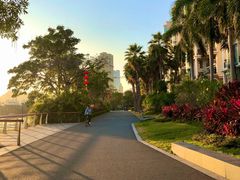 -深圳湾公园(南山区)