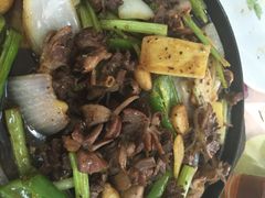 华翔农庄-华翔农庄(沙埔店)