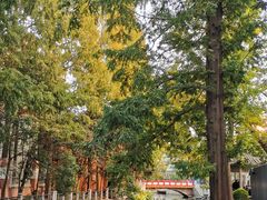 -兰溪青年公园