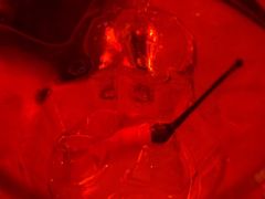 -The Drinkery (瑞金店)