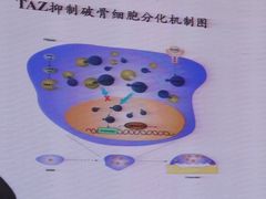 -上虞天玥大酒店