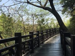 -白马涧龙池景区