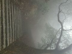android_upload_pic-大罗山风景区