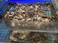 -万象·复兴号鲜肉烤肉海鲜自助(升级店)