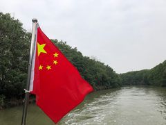 -大湾区中央湿地公园