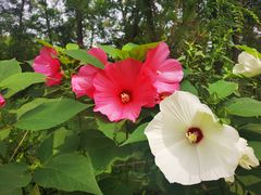 -南戴河国际娱乐中心