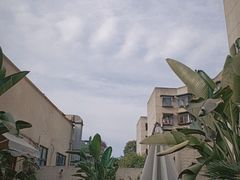 -时间逆·烘焙