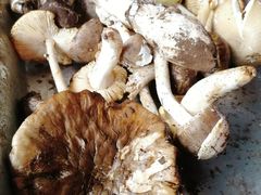 -兴福老面馆(寺路街店)