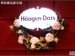 墙上的logo-哈根达斯(皇城恒隆广场店)