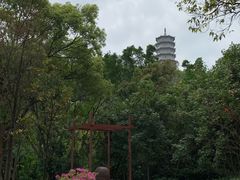 -深圳国际园林花卉博览园