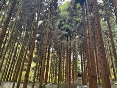 -娄山关景区