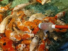 -常州海昌海洋探索馆