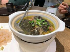 养生甲鱼煲-呼吸森林·生态农庄农家乐私房菜