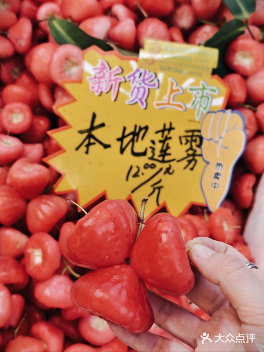 老炳·七丛松甘草水果图片