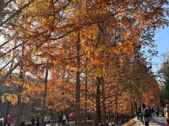 -白水寺森林公园