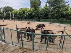 -秦皇岛野生动物园