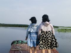 -微山湖红荷湿地景区