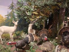 -陕西自然博物馆