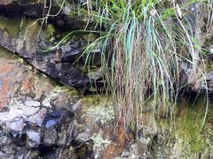 iphone_upload_pic-雅鲁激流探险漂流