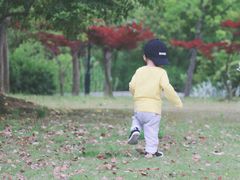 -宝界山林公园